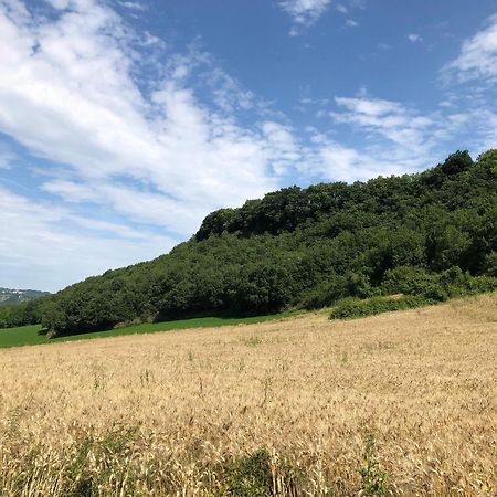 Agriturismo L'Esinante Cupramontana Εξωτερικό φωτογραφία