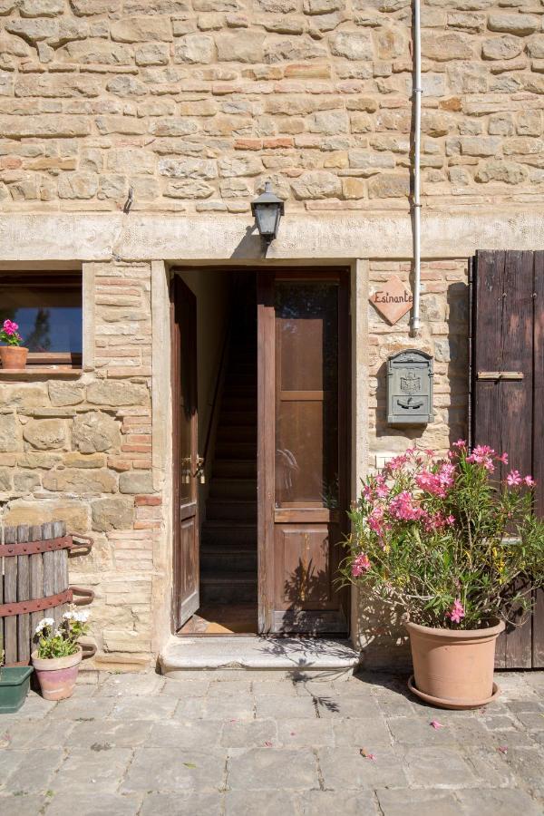 Agriturismo L'Esinante Cupramontana Εξωτερικό φωτογραφία