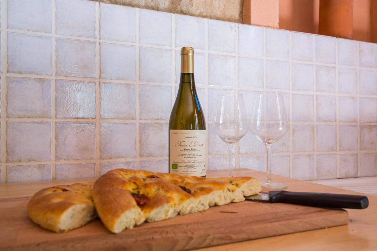 Agriturismo L'Esinante Cupramontana Εξωτερικό φωτογραφία
