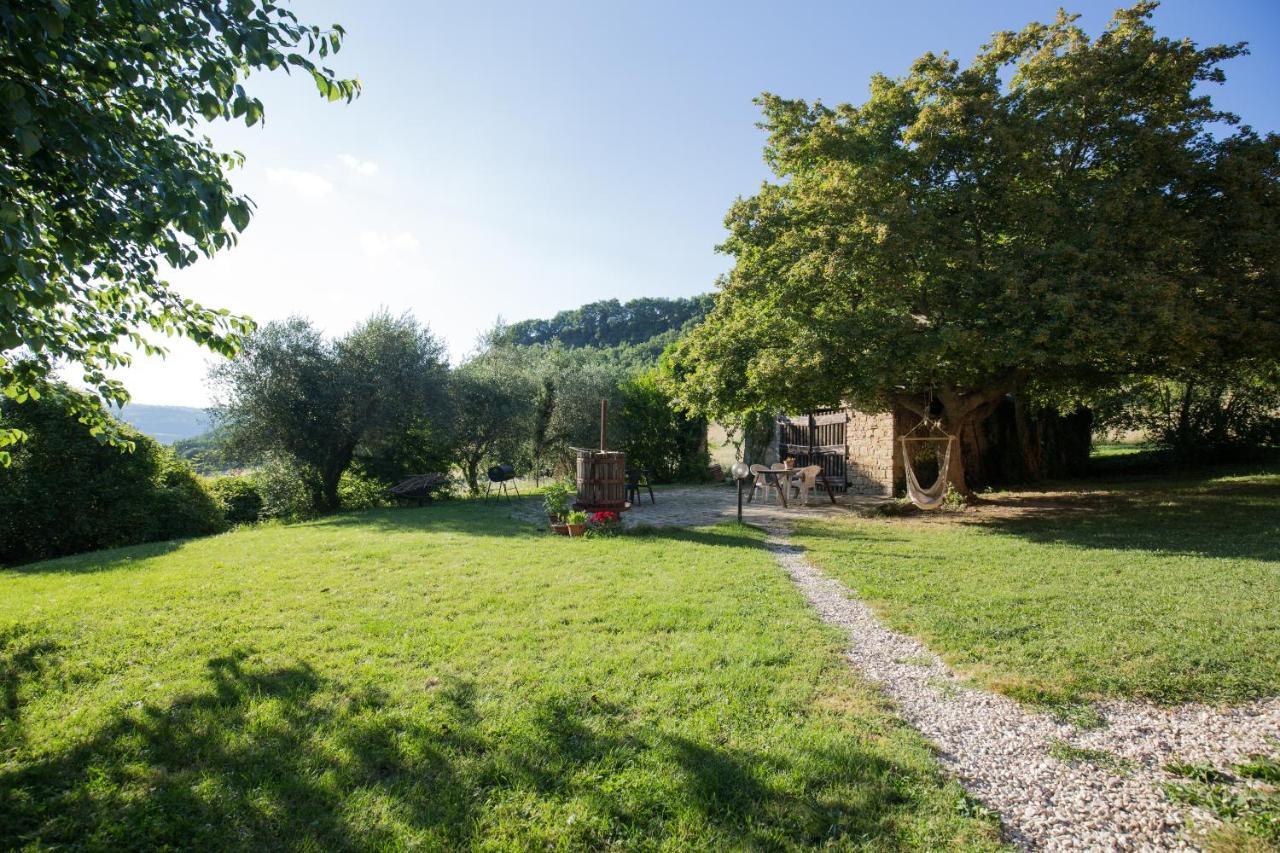Agriturismo L'Esinante Cupramontana Εξωτερικό φωτογραφία